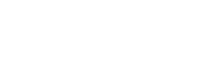 gb-gases-logo-1